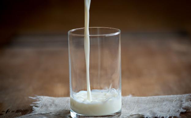 leche de vaca